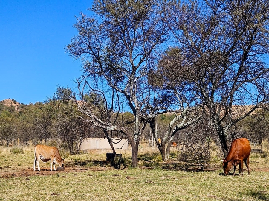 6 Bedroom Property for Sale in Parys Free State